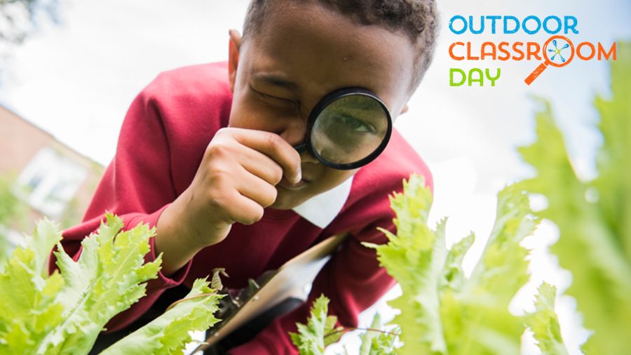 recycling-week-by-nzaee